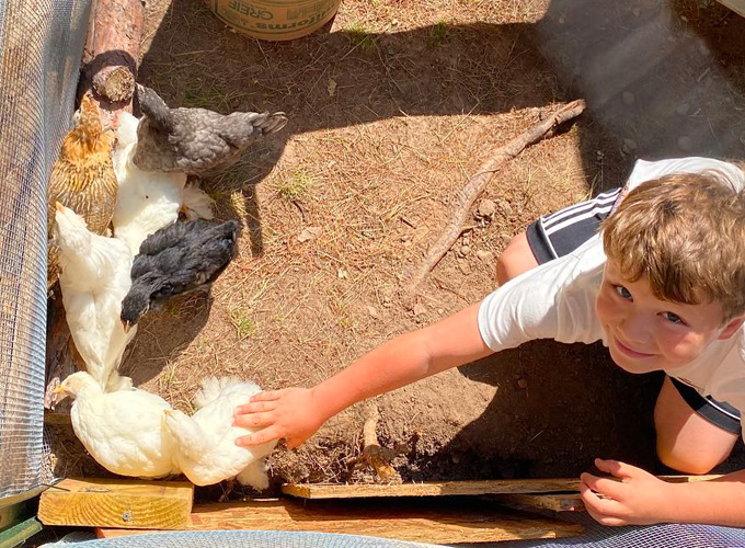 A young camper at North Star Camp for Boys smiles while petting a group of chickens.