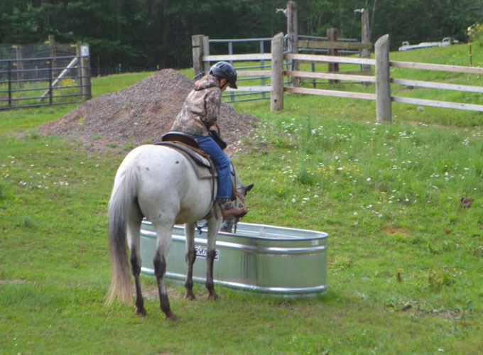 A camper from North Star Camp for Boys sits on horseback while the horse takes a break to drink out of a metal tin.