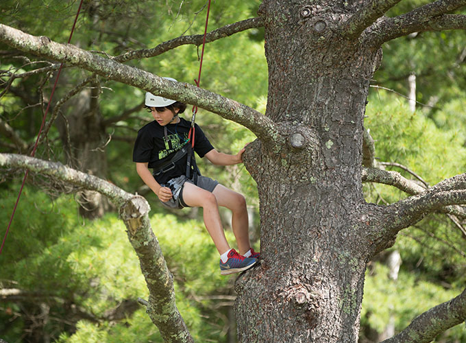A camper looks down as he navigates his next step while climbing a large tree in the forest at North Star Camp for Boys. He is wearing a protective helmet and climbing cords.
